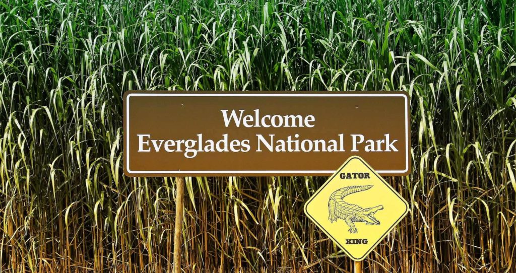 Everglades National Park Miami