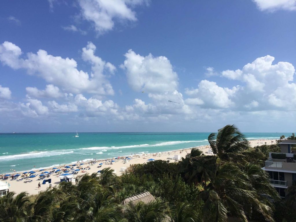 picture of Miami beach costline