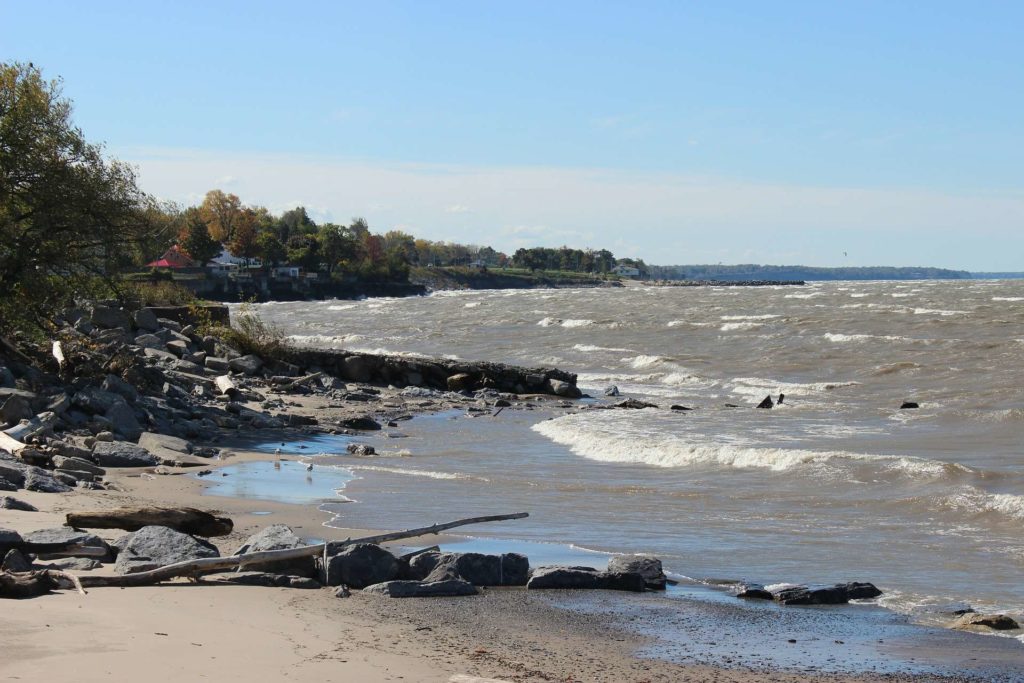 shore and waves frin Lake Erie