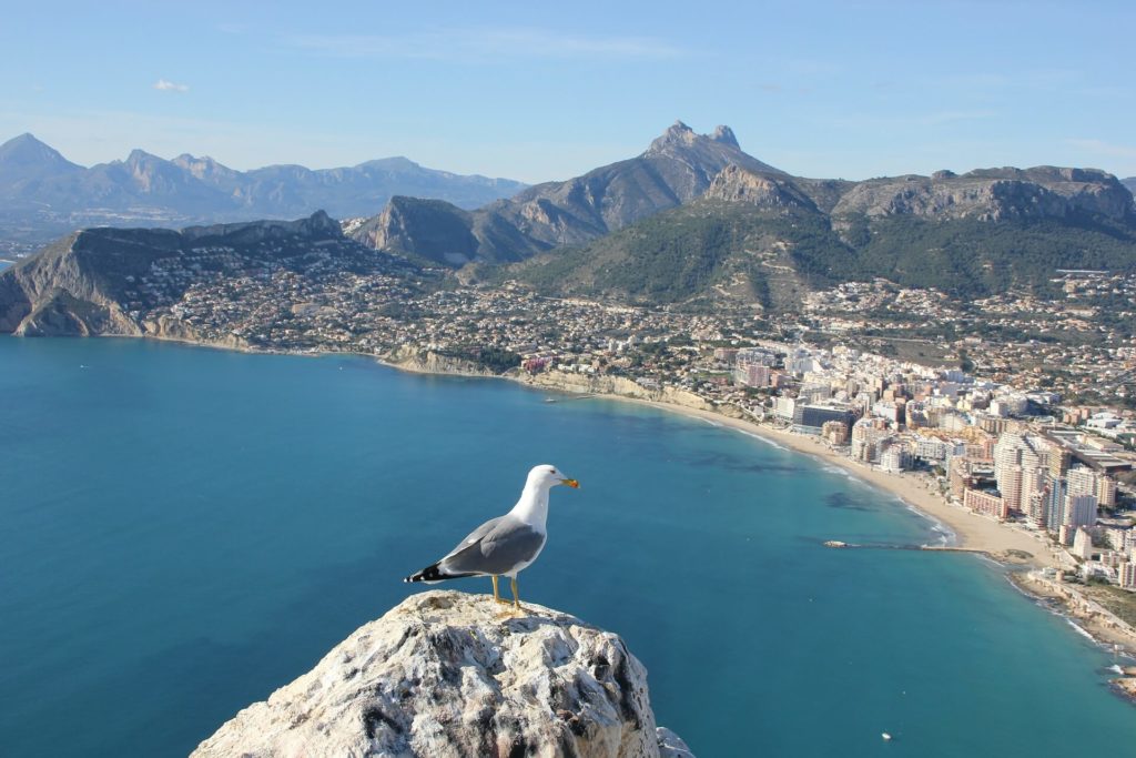 A view to Alicante, Spain