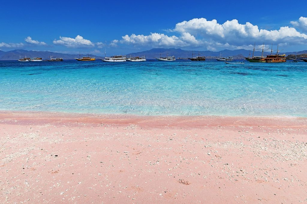 pink sand beach indonesia