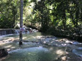 dunns river falls ocho rios jamaica