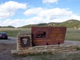 custer state park